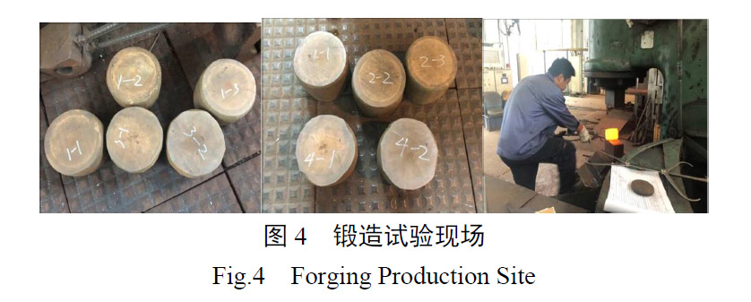 1657926440260557.jpg t4.jpg