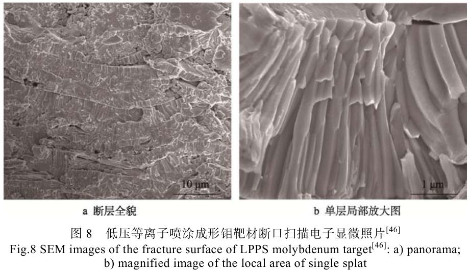 1701691793347841.jpg t8.jpg