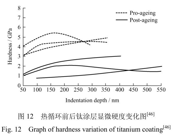 1706095532609108.jpg t12.jpg