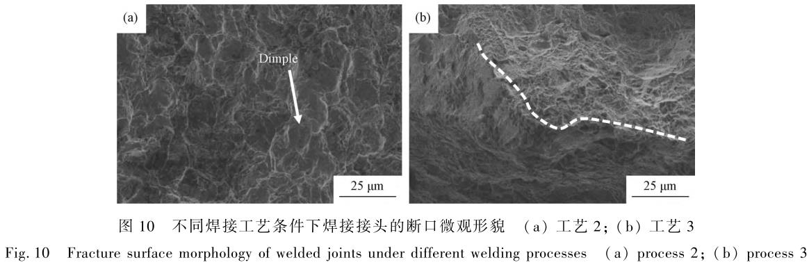 1706182289964201.jpg t10.jpg