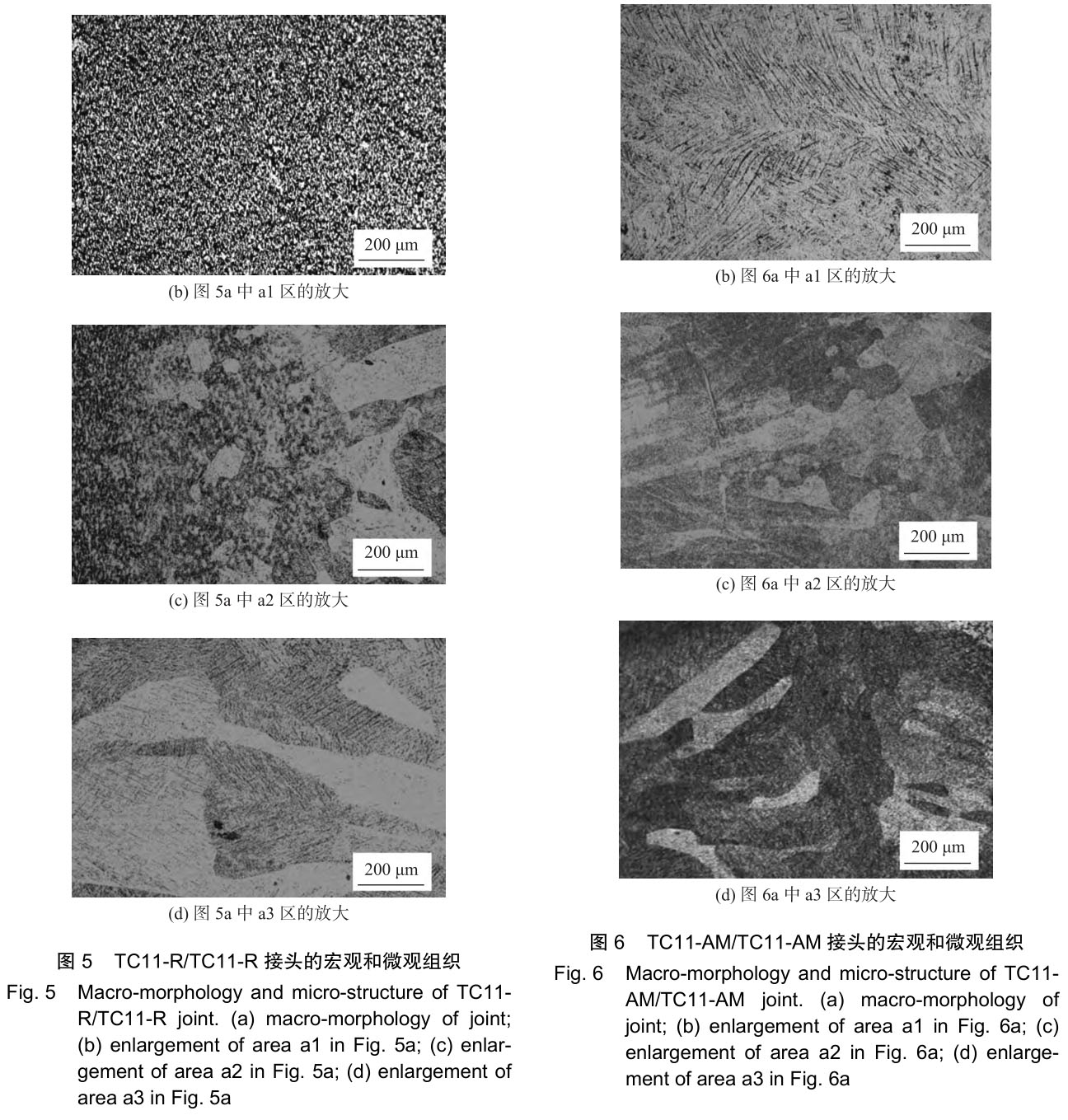 1706222924189750.jpg t5-6.jpg