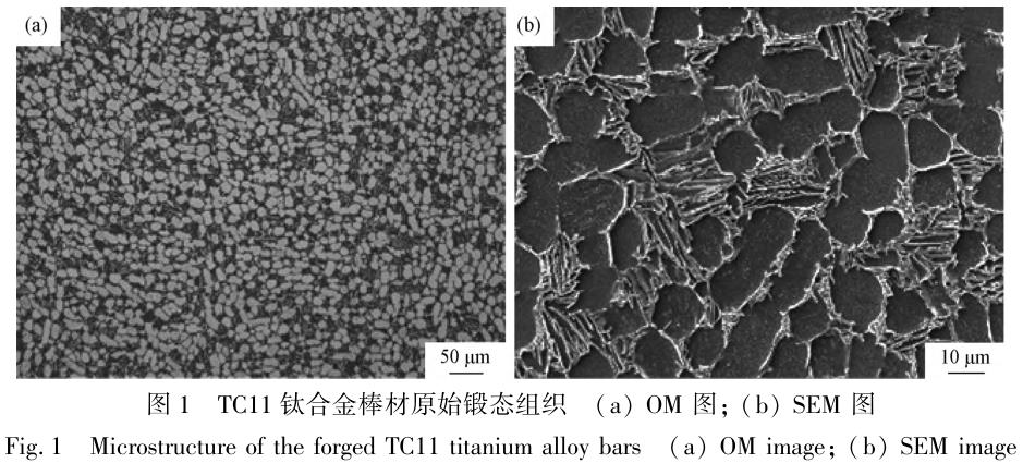 1708354340490181.jpg t1.jpg