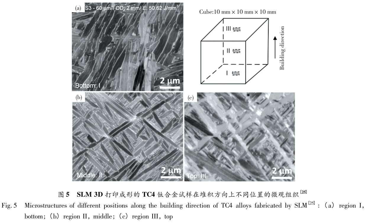 1721614694345073.jpg t5.jpg