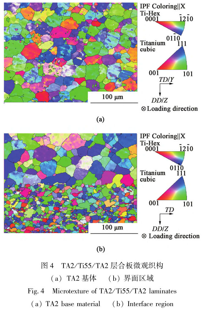 1722830156145489.jpg t4.jpg