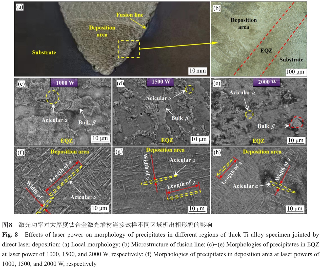 1725354983487829.jpg t8.jpg