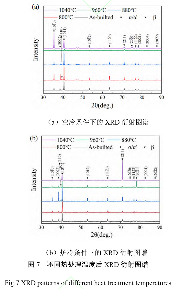 1727840831648425.jpg t7.jpg