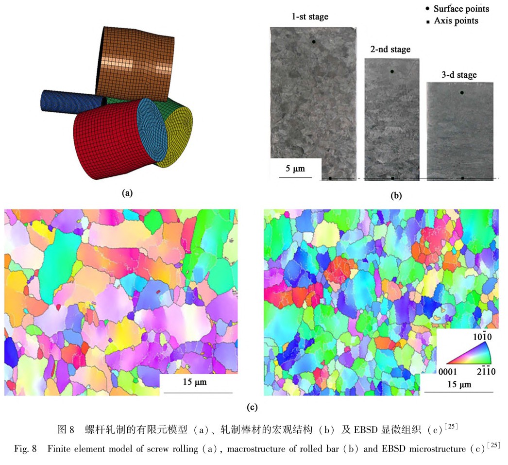 1729324359698083.jpg t8.jpg