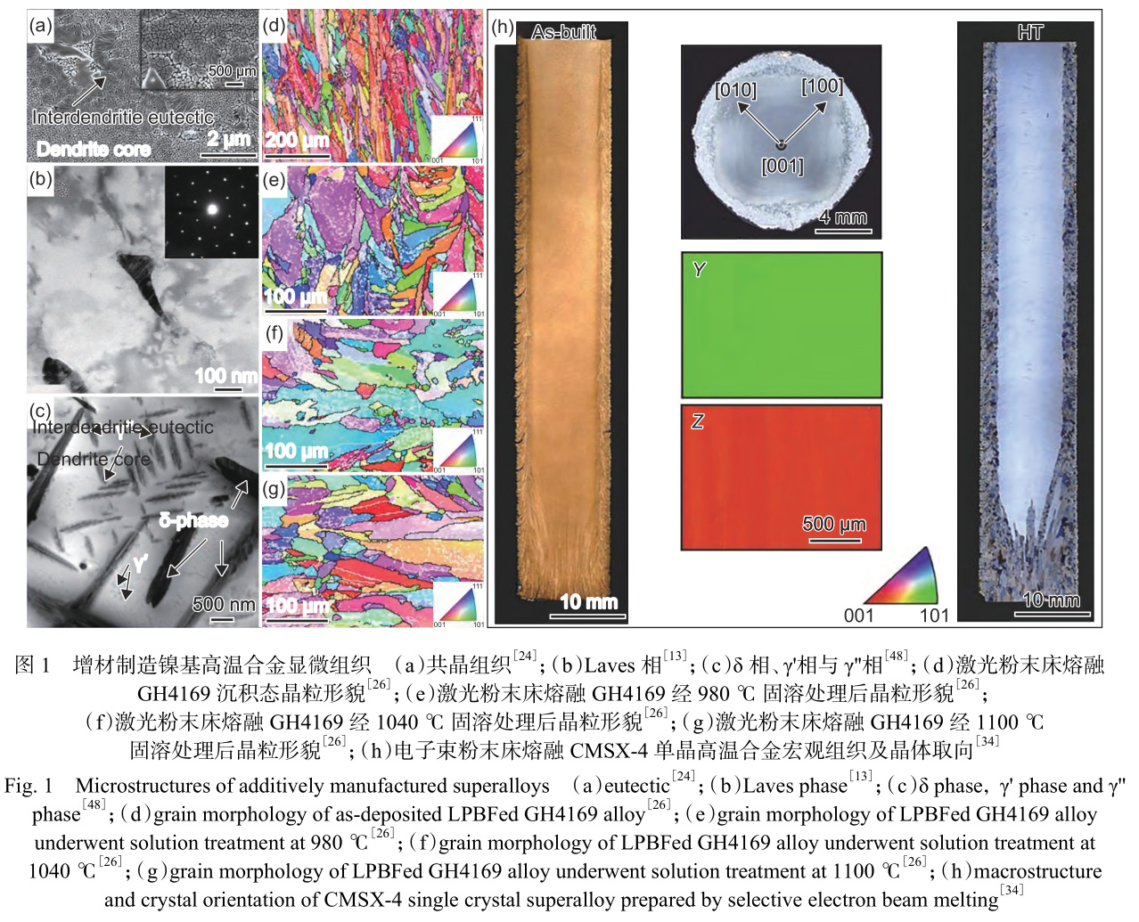 1729340616440404.jpg 1.jpg