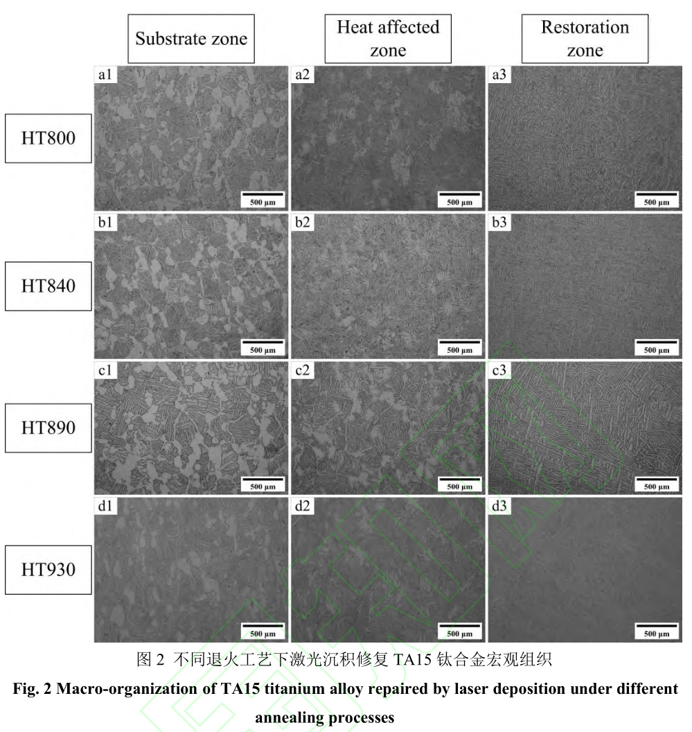 1729342670440060.jpg 2.jpg