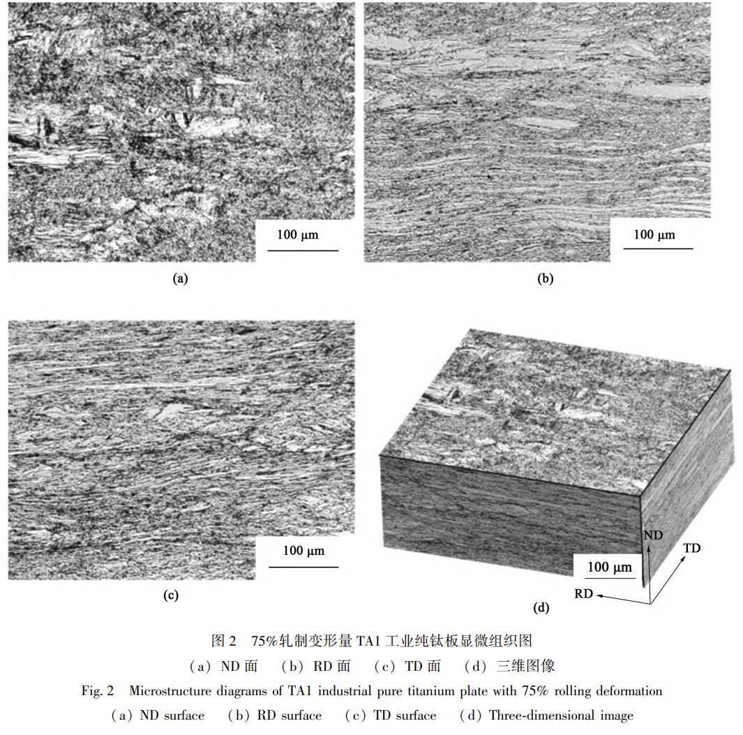 1739264110231915.jpg 2.jpg