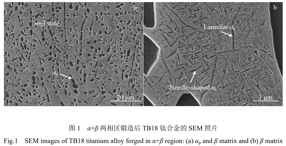 1739526934677476.png 截圖20250214174611.png