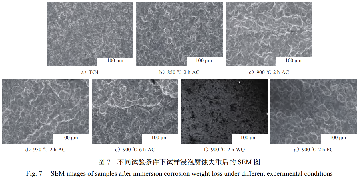 1763905523238167.png 截圖20251123212804.png