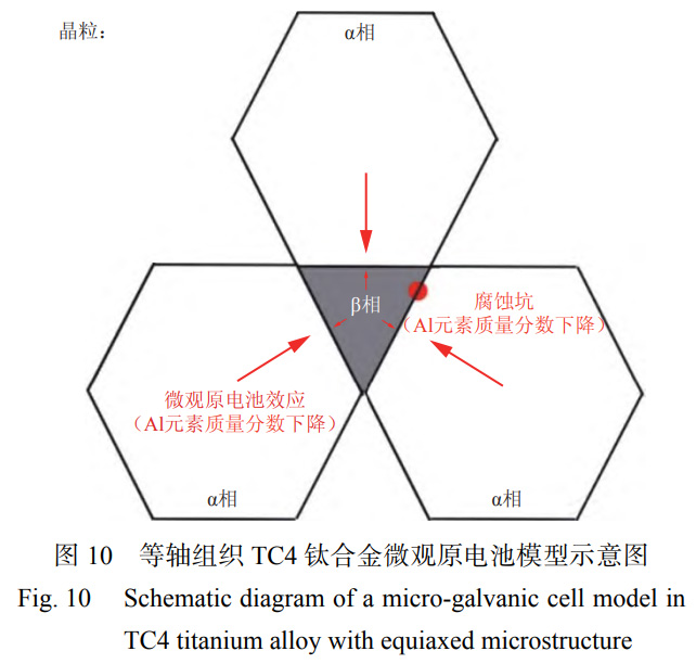 1763905578910204.jpg 未標題-5.jpg